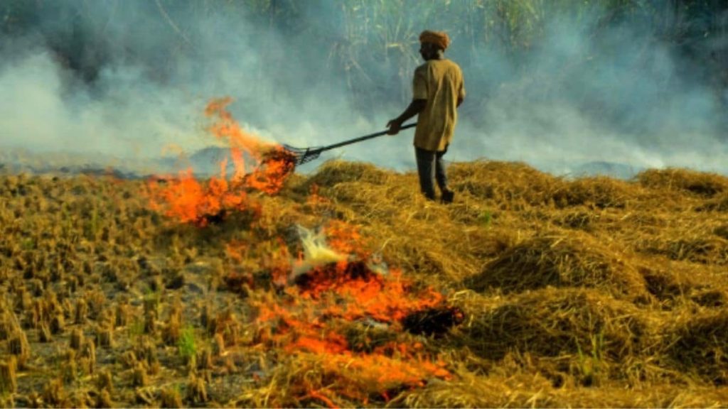670e009a6a636-stubble-burning-141452631-16x9