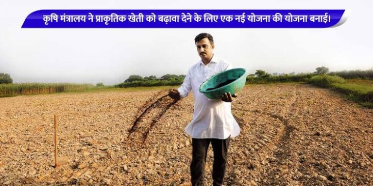 images - 2024-10-04T184554.658