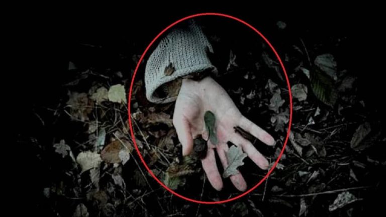 6747e1d0a14b1-khunti-live-in-partner-murder-282147263-16x9