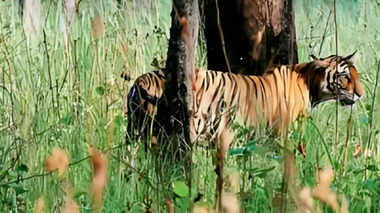 IMG-20241220-WA0010