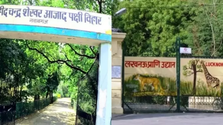 800x450_1856417-kdbgkerbvk