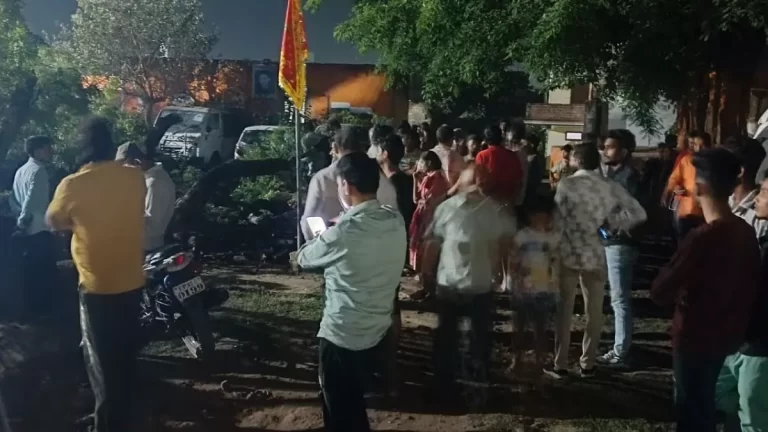 05_04_2025-tree_news_23912736_22747898