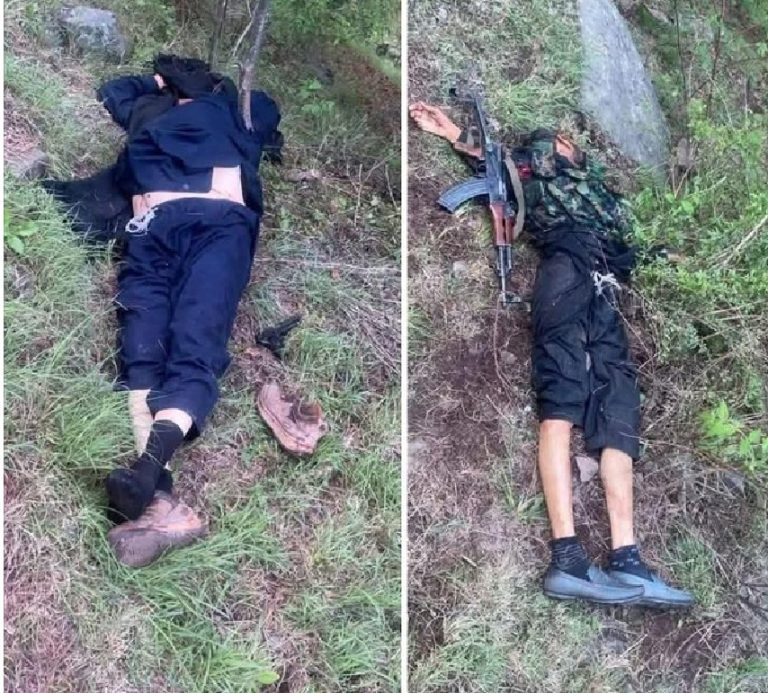 Screenshot_2025-04-23-16-04-41-56_0b2fce7a16bf2b728d6ffa28c8d60efb