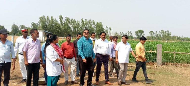 WhatsApp Image 2025-04-11 at 18.06.17