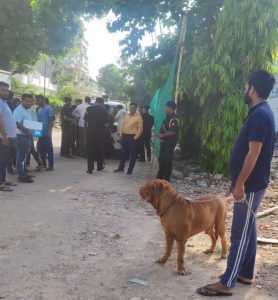 बिना अनुमति टहलाए गए कुत्तों पर सख्ती, ₹30 हजार जुर्माना वसूला