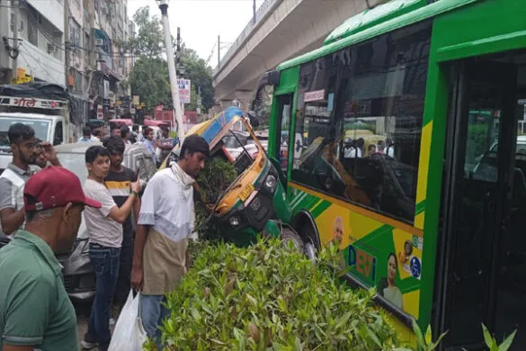 bus-585x390