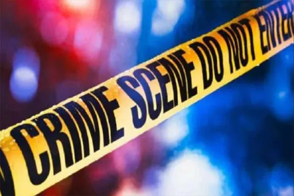 crime-585x390