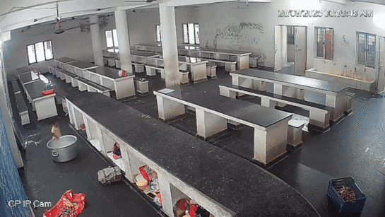 aeo57jj_andhra-pradesh_625x300_26_September_25