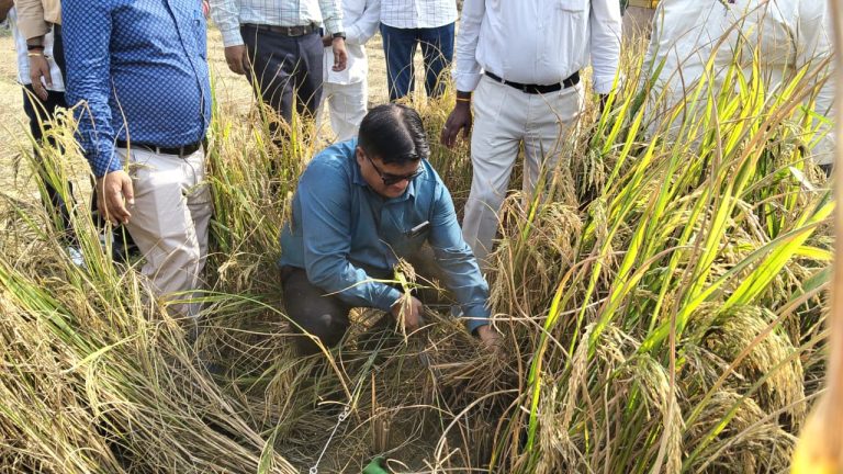 WhatsApp Image 2025-10-17 at 16.23.42