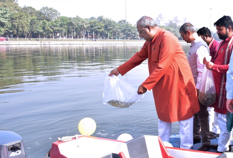 WhatsApp Image 2025-11-17 at 3.17.49 PM (2)