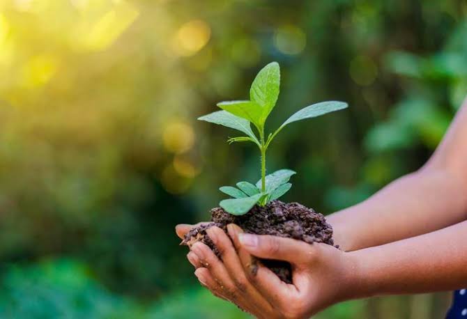 images - 2025-11-26T153409.566