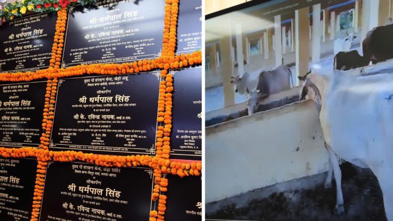 1200-675-22638327-thumbnail-16x9-image17