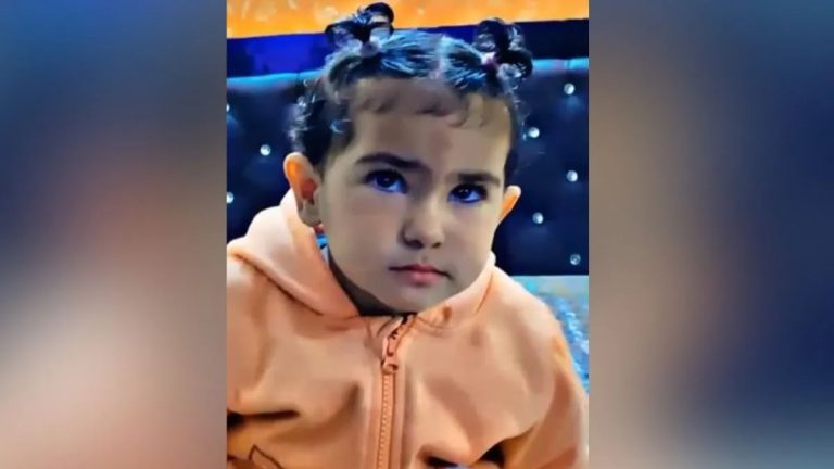 stray-dog-1768890071