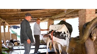 w-412,h-232,imgid-external,imgname-image-0248a401-bb8d-4fb0-84f2-3f1fc35117d2