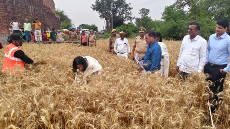 क्राप फसल (1)